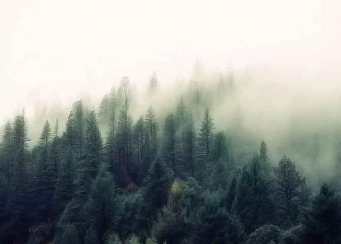 企业软件定制文章